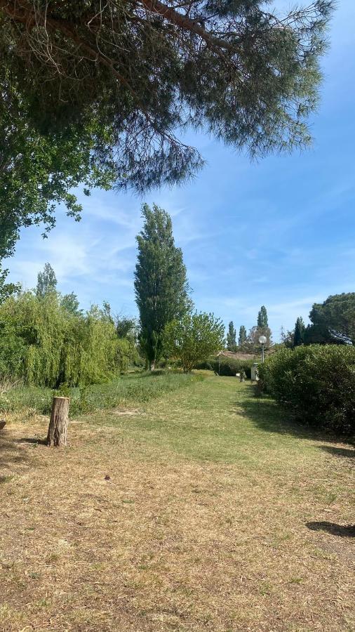 Joli Appartement 27M2 Oasis Provencale En Village Vacances En Camargue Арл Екстериор снимка